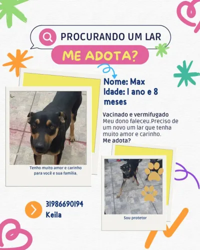 Me adota