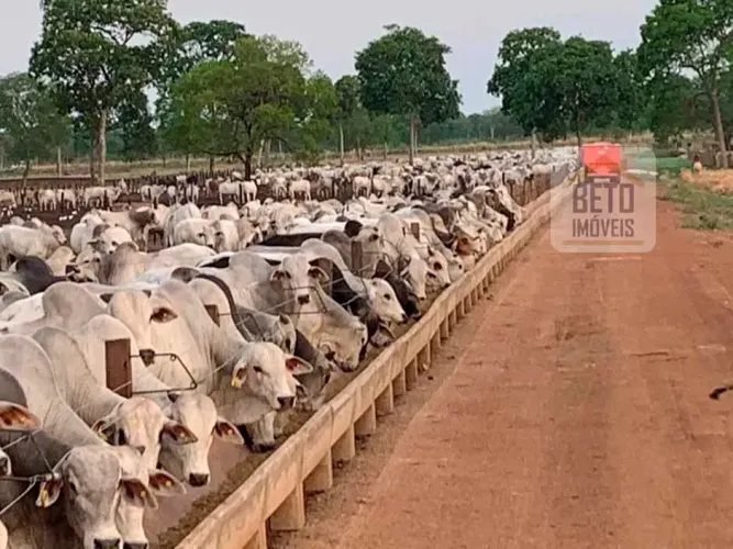 Fazenda/Sítio/Chácara para venda tem 13344350 metros quadrados em Jardim Paraíso - Cáceres