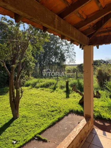 Maravilhoso Sítio para Locação em Ipiguá | 2 Casas | Piscina | Várias Árvores Frutíferas