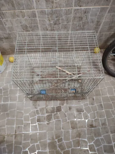 Gaiola grande