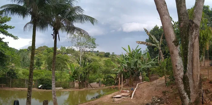 Vendo Sitio com ótima localização 
