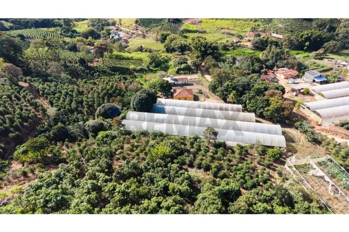 SITIO EM SERRA NEGRA com 73.000 m2 , 04 quartos , com área produtiva de: TOMATE , CAFÉ E M