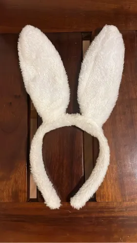 Tiara Fantasia Coelho