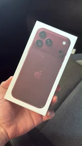18 Pro max bordo