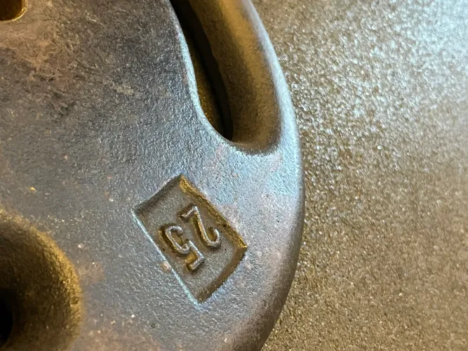 Par anilha 25kg ferro