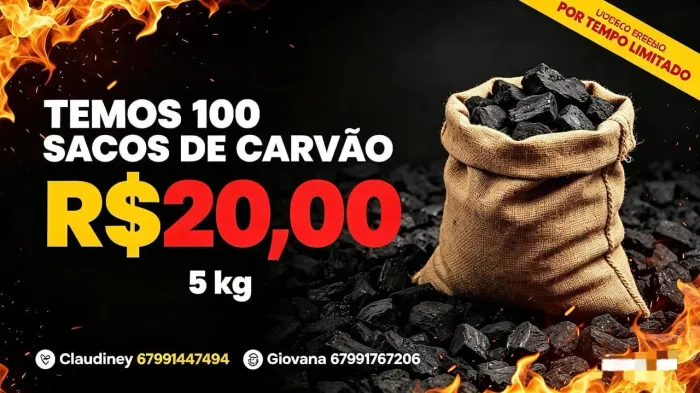 Temos 100 sacos de carvão disponível de 5 kg