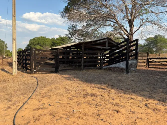 Fazenda à venda - 203 ha 28 km de Araguaína/TO