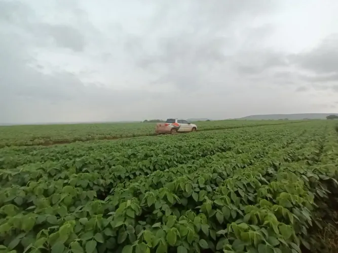 Vendo excelente fazenda para lavoura ou pecuária