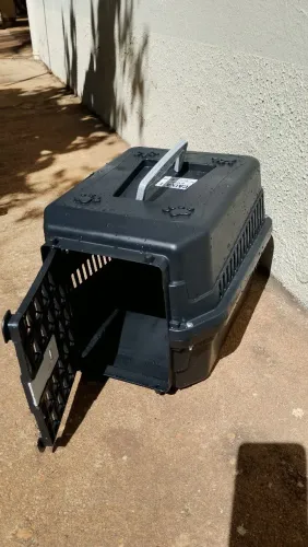 Caixa Pet 1