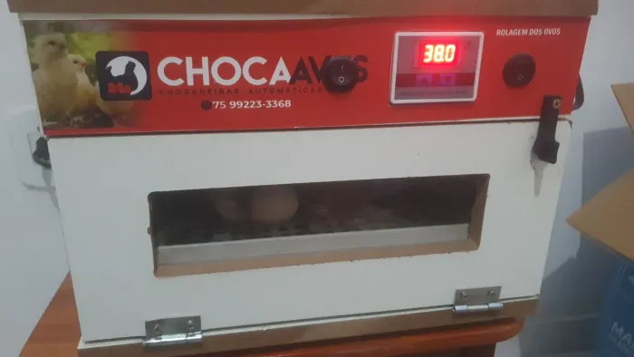 Chocadeira