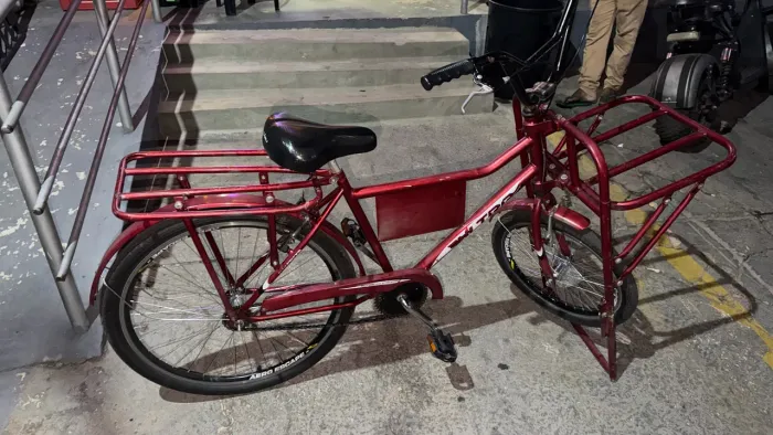 Bicicleta Cargueira