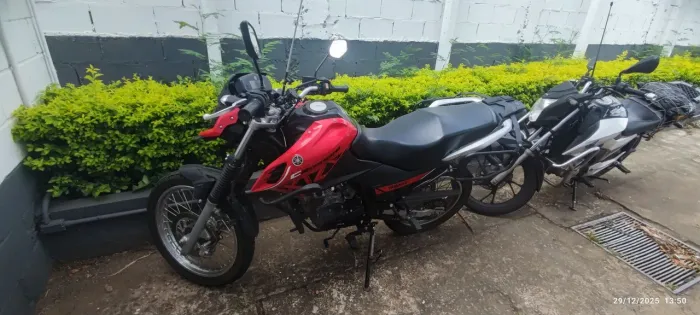 Crosser S 2023 