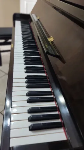 AFINADOR DE PIANOS
