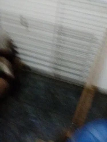 Portão