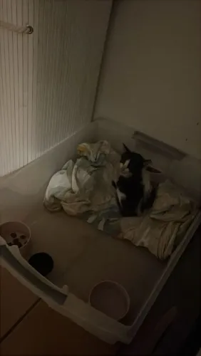 Ele não precisa de luxo, só de alguém que fique 