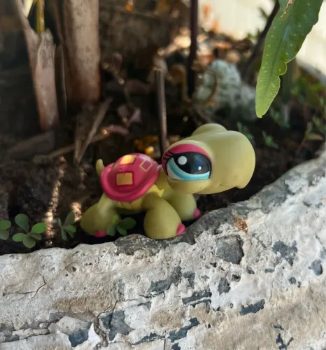 Littlest Pet Shop tartaruga