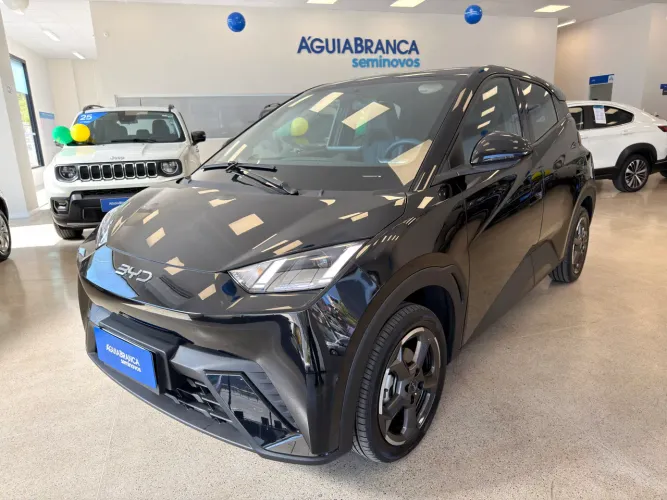 BYD Dolphin Mini (Elétrico) 2025