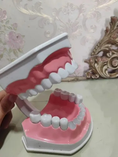 Manequim Odontológico Colgate Anos 80
