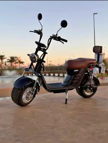 Moto Chefe X12 1000W