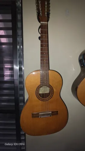 Viola Del vecchio