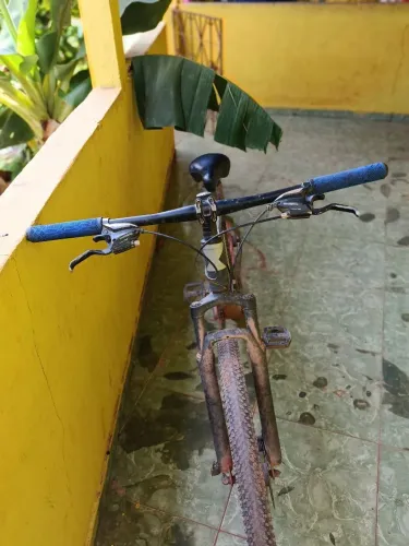 Bicicleta