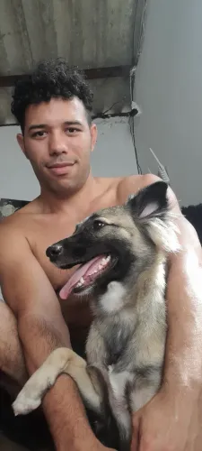 Doação de cadela 