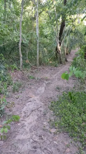 Vendo pesqueiro rio miranda