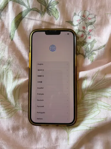 iPhone 13 Pro Max 256