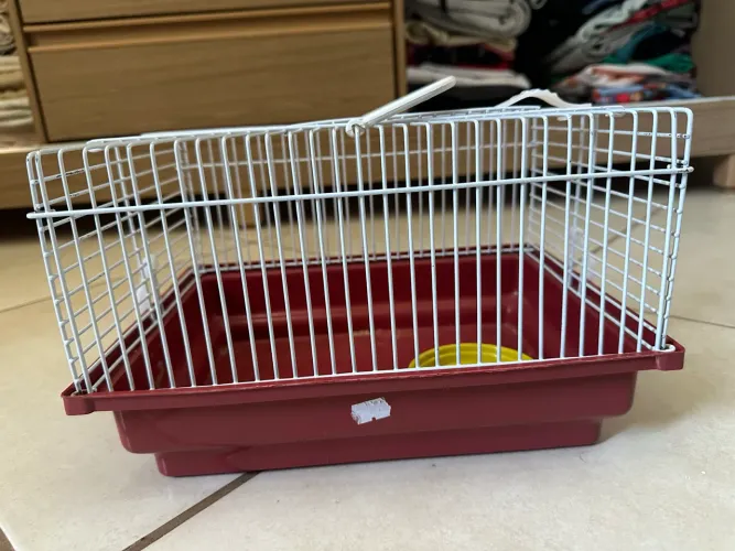 Casa hamster 
