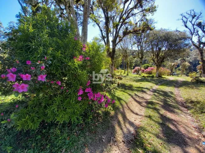 CHÁCARA com 1 dormitório à venda com 38000m² por R$ 1.285.000,00 no bairro Colônia Murici