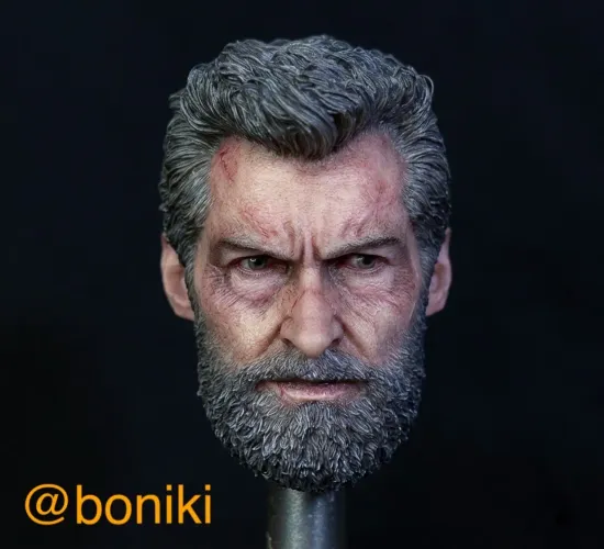 Wolverine Logan head 1/6 custom