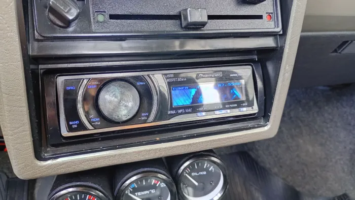 Pioneer golfinho 