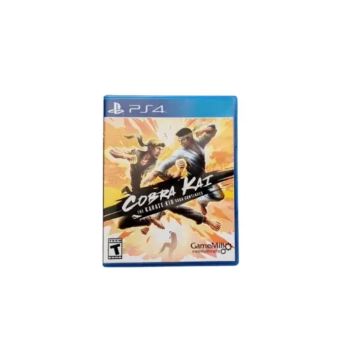 Cobra Kai The Karate Kid Saga Continues PS4