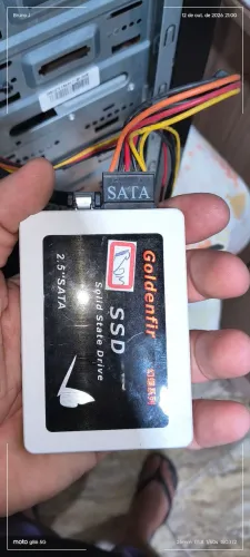 SSD 240 goldenfir