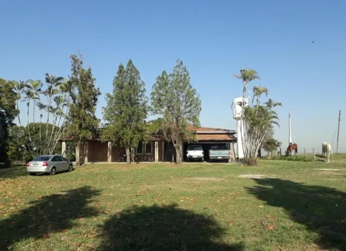 Fazenda 81,5 Alqueires, 56 Alqueires em Cana, Usina Grupo Zambianco 40 Toneladas 10 Alquei
