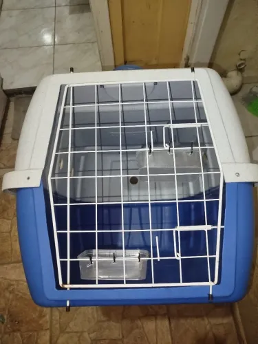 Casinha de cachorro