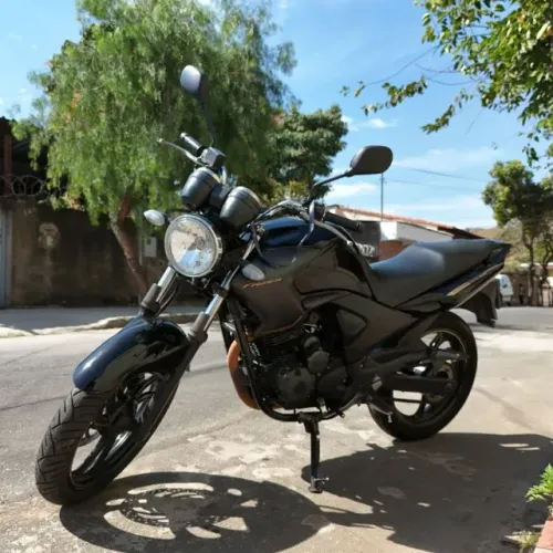 2010 Yamaha Fazer YS 250 Limited Edition