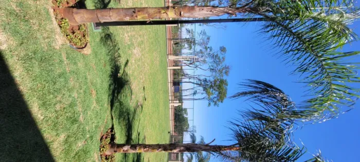 Terrenos Condomínio em Ribeirão Preto