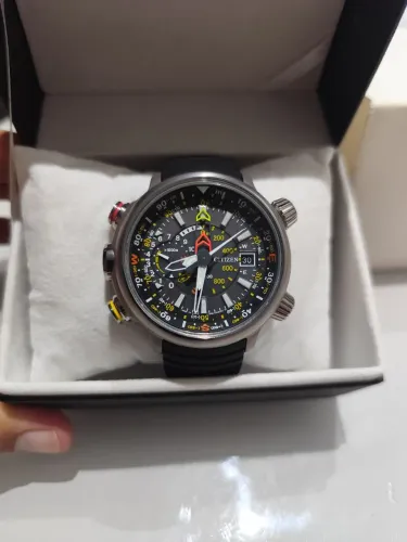 Citizen new altichron