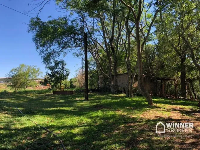 Chácara com 1 dormitório à venda, 4000 m² por R$ 1.500.000,00 - Zauna - Sarandi/PR