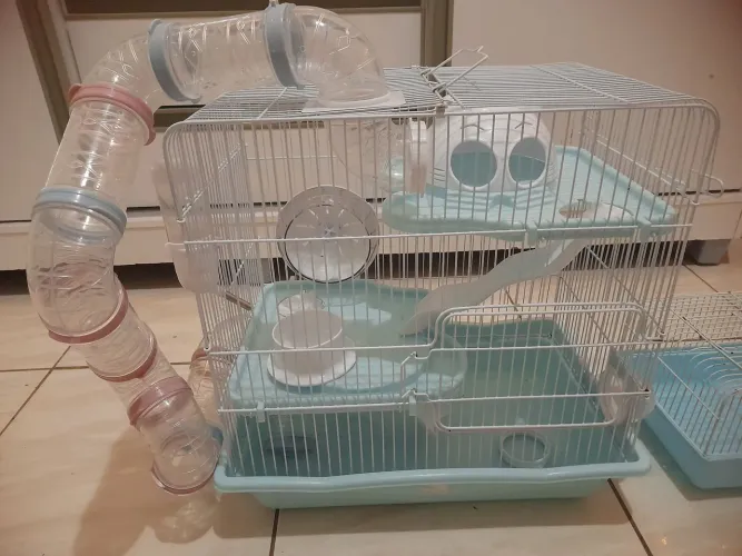 Gaiola para hamster 