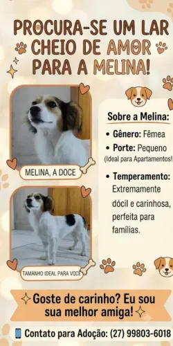 Doa- se Fêmeas