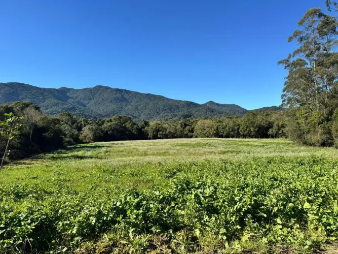 Sitio em Santo Amaro da Imperatriz - SC