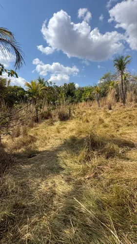 2 Alqueires em Goiás velho, terra boa 