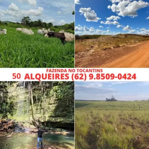 Fazenda a Venda no Estado de Tocantins 50 Alqueires Cachoeira, Agua Mina Dagua