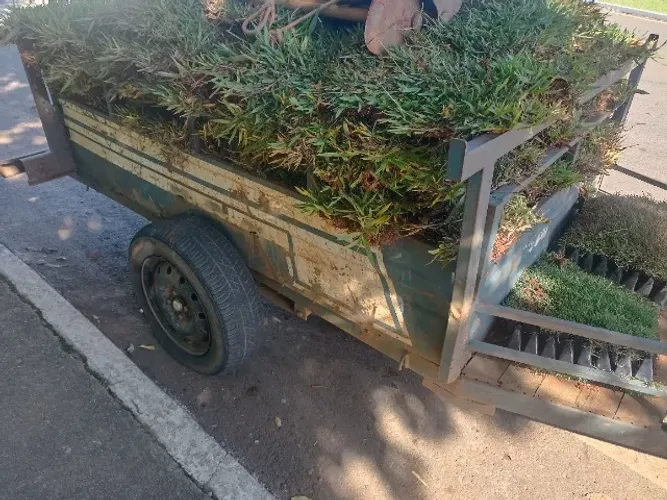 GRAMAS JA PLANTADAS EM CATALAO E REGIAO LEIA.