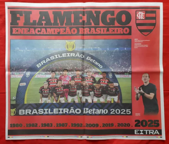Flamengo Campeão Brasileiro 2025 - Pôsteres