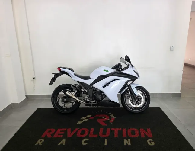 Kawasaki Ninja 300 2015 Super Conservada 