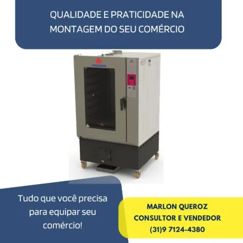 Forno 10 Esteiras Turbo a Lenha Novo