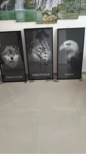 Quadros Execução Disciplina Foco 
